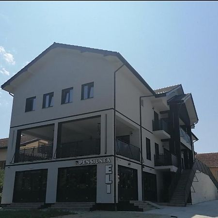 Pensiunea Eli Buziaş エクステリア 写真